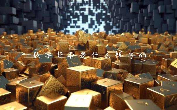 数字货币是什么样子的